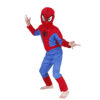 Spider Man costume